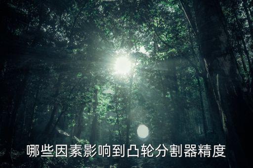哪些因素影響到凸輪分割器精度