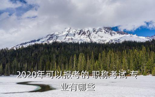 2020年可以報(bào)考的 職稱考試 專業(yè)有哪些