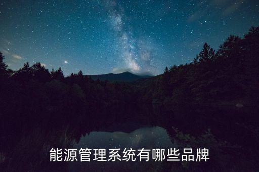 能源管理系統(tǒng)有哪些品牌