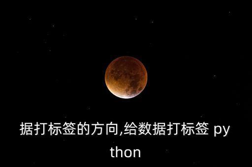 大數(shù)據(jù)打標(biāo)簽的方向,給數(shù)據(jù)打標(biāo)簽 python