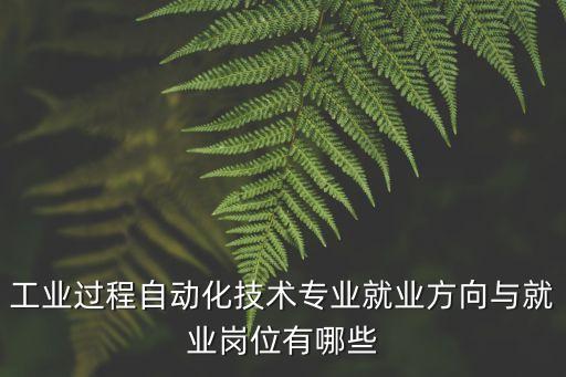 工業(yè)過程自動(dòng)化技術(shù)專業(yè)就業(yè)方向與就業(yè)崗位有哪些