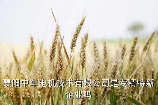 襄陽中車電機技術(shù)有限公司是專精特新企業(yè)嗎