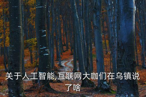 馬云說的大數(shù)據(jù)視頻