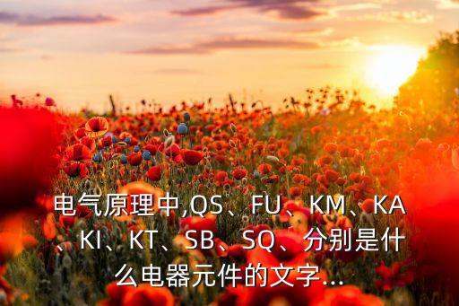 電氣原理中,QS、FU、KM、KA、KI、KT、SB、SQ、分別是什么電器元件的文字...