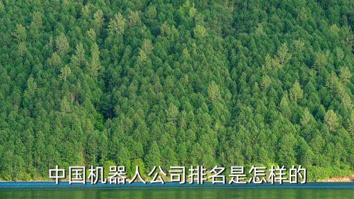 中國(guó)機(jī)器人公司排名是怎樣的