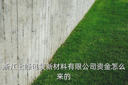 浙江上峰包裝新材料有限公司資金怎么來的