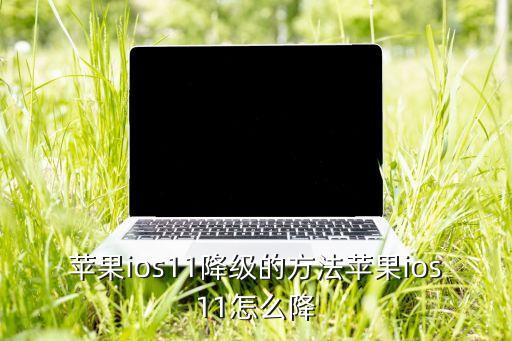 ios11降回ios10數(shù)據(jù),蘋果ios11怎么降?