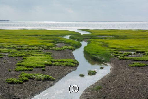 威海恒科自動(dòng)化有限公司,電氣自控設(shè)計(jì)專業(yè)公司名單