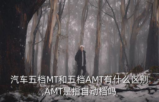 汽車五檔MT和五檔AMT有什么區(qū)別,AMT是指自動檔嗎