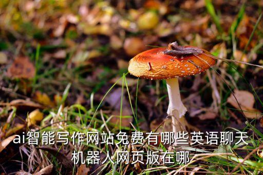 ai智能寫作網(wǎng)站免費(fèi)有哪些英語(yǔ)聊天機(jī)器人網(wǎng)頁(yè)版在哪