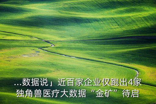 醫(yī)學(xué)大數(shù)據(jù)公司,醫(yī)療大數(shù)據(jù)金礦待開發(fā)哪些公司值得你關(guān)注?