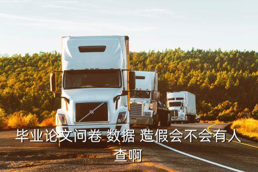 畢業(yè)論文問卷 數(shù)據(jù) 造假會不會有人查啊