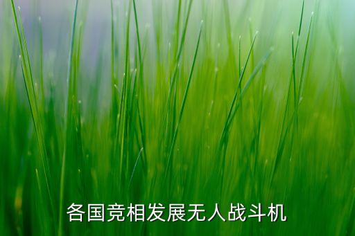 各國競相發(fā)展無人戰(zhàn)斗機