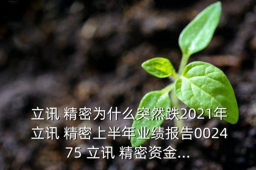  立訊 精密為什么突然跌2021年 立訊 精密上半年業(yè)績(jī)報(bào)告002475 立訊 精密資金...