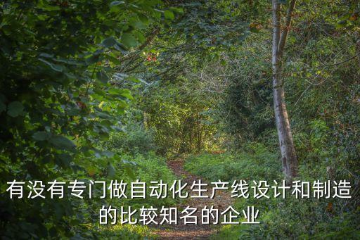 有沒有專門做自動(dòng)化生產(chǎn)線設(shè)計(jì)和制造的比較知名的企業(yè)