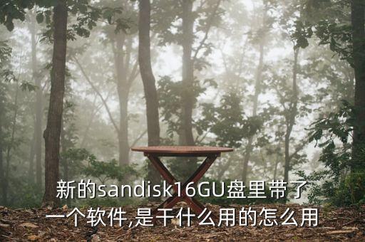 新的sandisk16GU盤里帶了一個(gè)軟件,是干什么用的怎么用