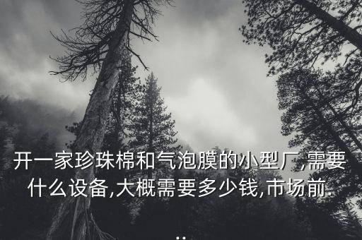 開一家珍珠棉和氣泡膜的小型廠,需要什么設(shè)備,大概需要多少錢,市場前...