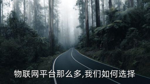 物聯(lián)網(wǎng)平臺(tái)那么多,我們?nèi)绾芜x擇