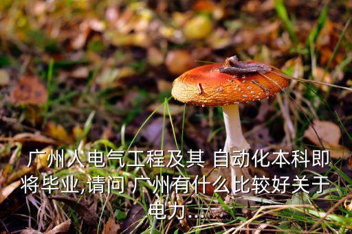  廣州人電氣工程及其 自動(dòng)化本科即將畢業(yè),請(qǐng)問(wèn) 廣州有什么比較好關(guān)于電力...