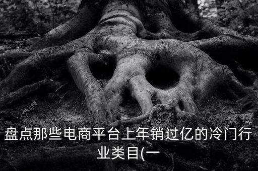 電商品類數(shù)據(jù),慢慢買大數(shù)據(jù)盤點出xx個月銷過億的小眾品類