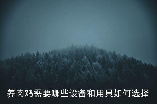 養(yǎng)肉雞需要哪些設(shè)備和用具如何選擇