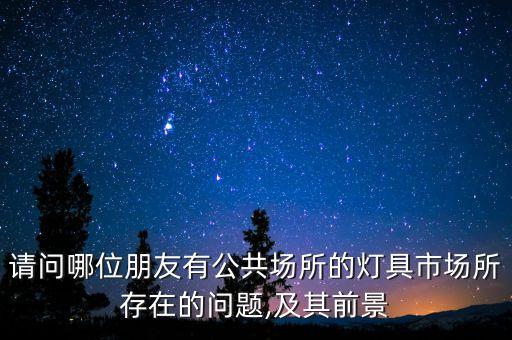 請問哪位朋友有公共場所的燈具市場所存在的問題,及其前景