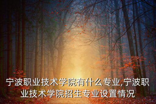寧波職業(yè)技術(shù)學(xué)院有什么專業(yè),寧波職業(yè)技術(shù)學(xué)院招生專業(yè)設(shè)置情況
