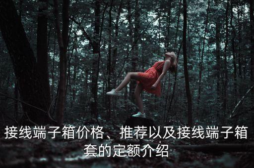 接線端子箱價(jià)格、推薦以及接線端子箱套的定額介紹