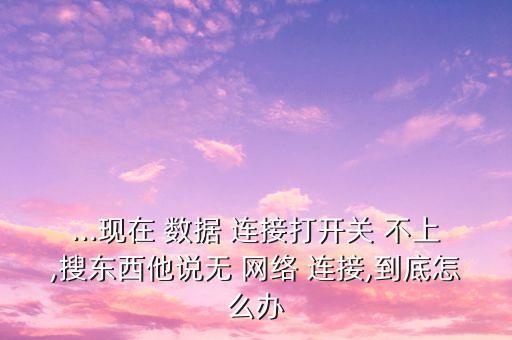 ...現(xiàn)在 數(shù)據(jù) 連接打開(kāi)關(guān) 不上,搜東西他說(shuō)無(wú) 網(wǎng)絡(luò) 連接,到底怎么辦
