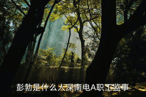 上海中發(fā)電力自動(dòng)化公司