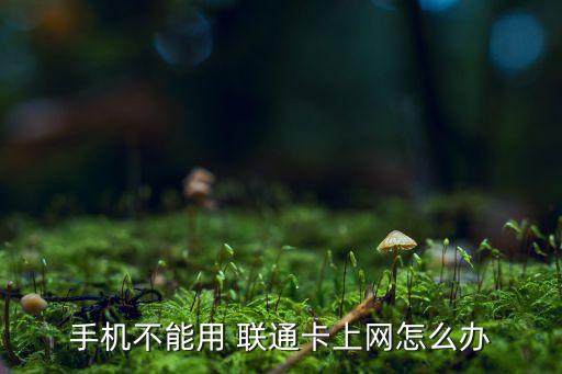 聯(lián)通有信號(hào)無數(shù)據(jù)連接不上