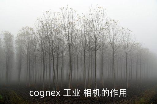 cognex 工業(yè) 相機的作用