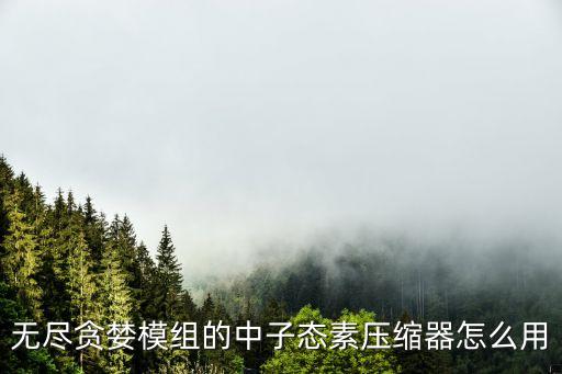 無盡貪婪模組的中子態(tài)素壓縮器怎么用