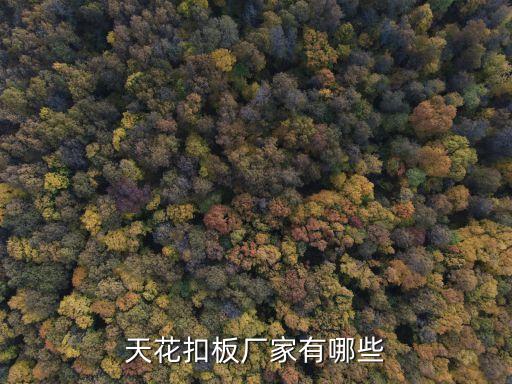 蘇州永順自動化有限公司,深圳市永順自動化設(shè)備有限公司
