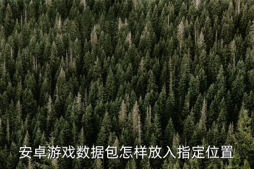 怎么安裝數(shù)據(jù)包到手機(jī)游戲,手機(jī)游戲數(shù)據(jù)包怎么用?