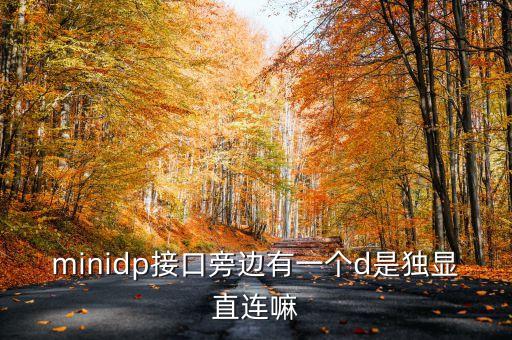 Mini DP-DP數(shù)據(jù)線,dp和minidp之別