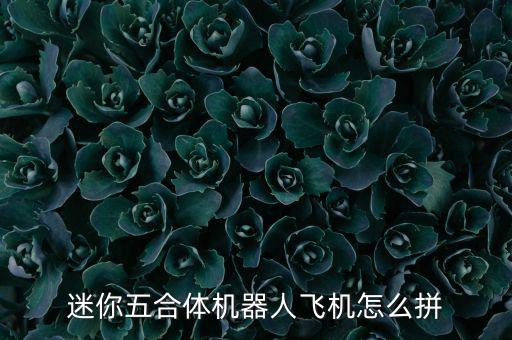 迷你五合體機(jī)器人飛機(jī)怎么拼