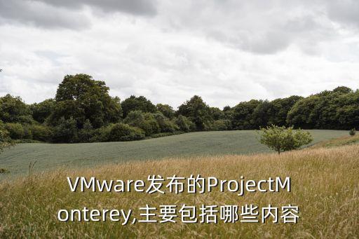 VMware發(fā)布的ProjectMonterey,主要包括哪些內(nèi)容