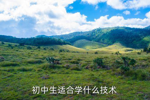 初中生適合學(xué)什么技術(shù)