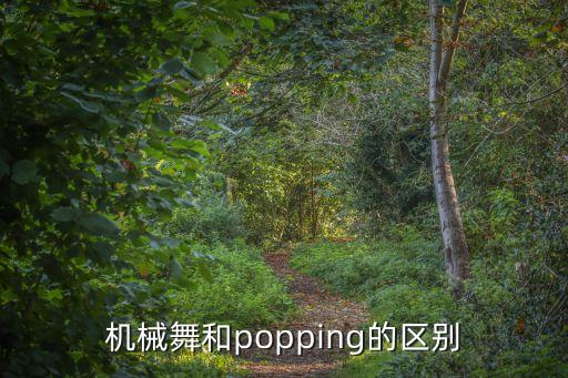 機(jī)械舞和popping的區(qū)別