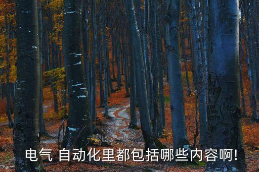  電氣 自動(dòng)化里都包括哪些內(nèi)容啊!