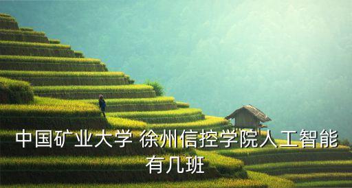 中國礦業(yè)大學 徐州信控學院人工智能有幾班