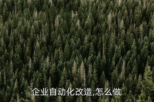企業(yè)自動(dòng)化改造,怎么做