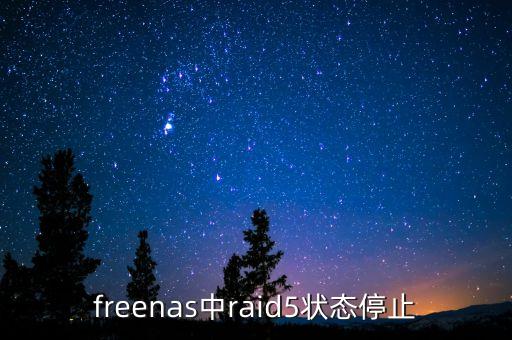 freenas中raid5狀態(tài)停止