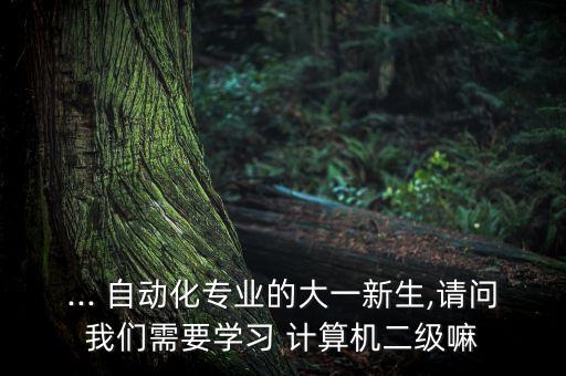 ... 自動(dòng)化專業(yè)的大一新生,請(qǐng)問(wèn)我們需要學(xué)習(xí) 計(jì)算機(jī)二級(jí)嘛