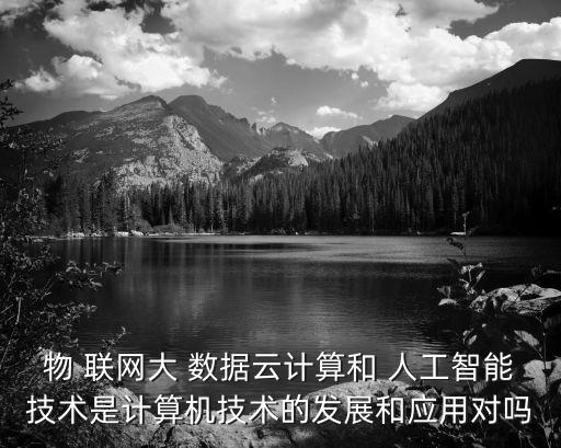 大數(shù)據(jù)是手段 物聯(lián)網(wǎng)是 人工智能