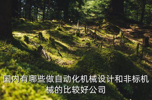 國內(nèi)有哪些做自動化機械設(shè)計和非標(biāo)機械的比較好公司