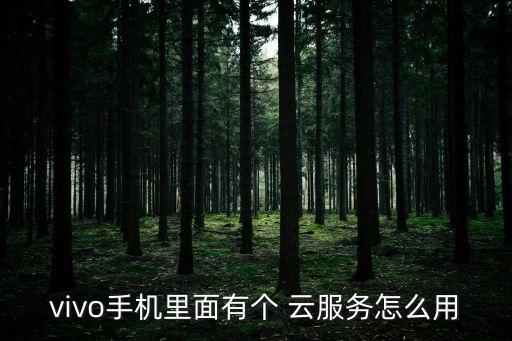 云服務(wù),企業(yè)云服務(wù)，什么意思?
