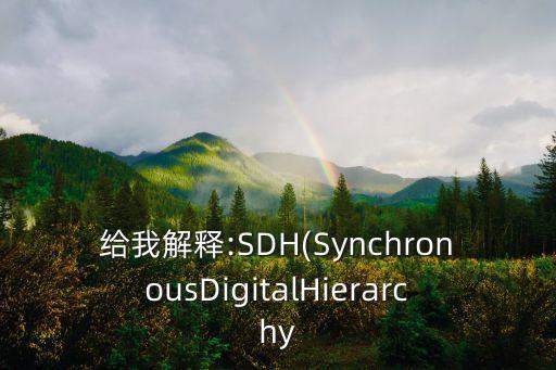 給我解釋:SDH(SynchronousDigitalHierarchy