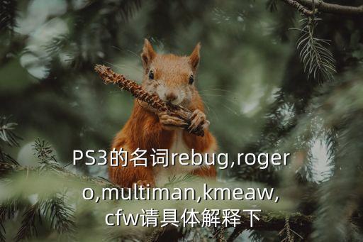 PS3的名詞rebug,rogero,multiman,kmeaw, cfw請具體解釋下